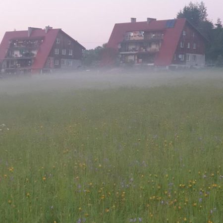 Apartament Wrzos Bieszczady Czarna (Bieszczady) Exterior foto